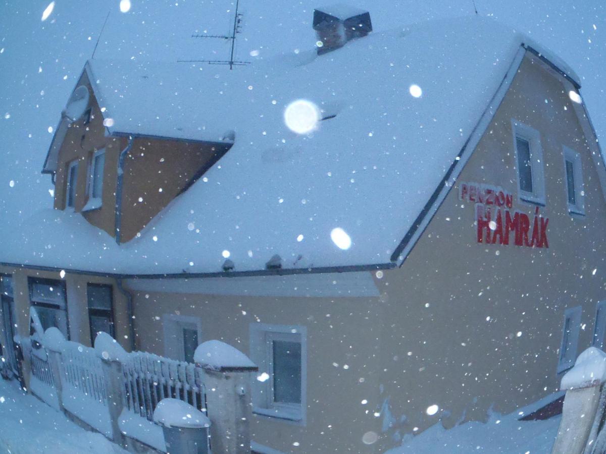 Penzion Hamrak Ceske Hamry Buitenkant foto