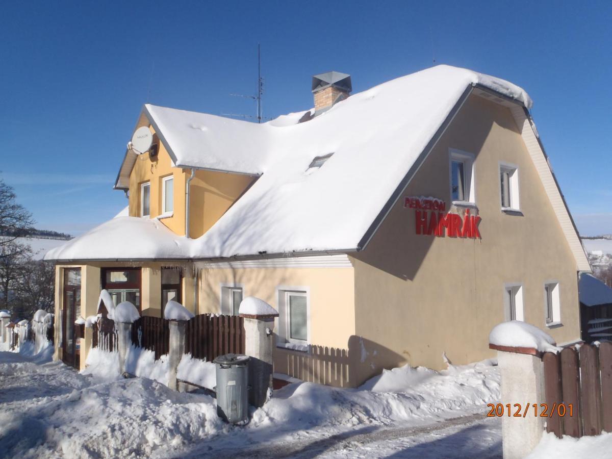 Penzion Hamrak Ceske Hamry Buitenkant foto