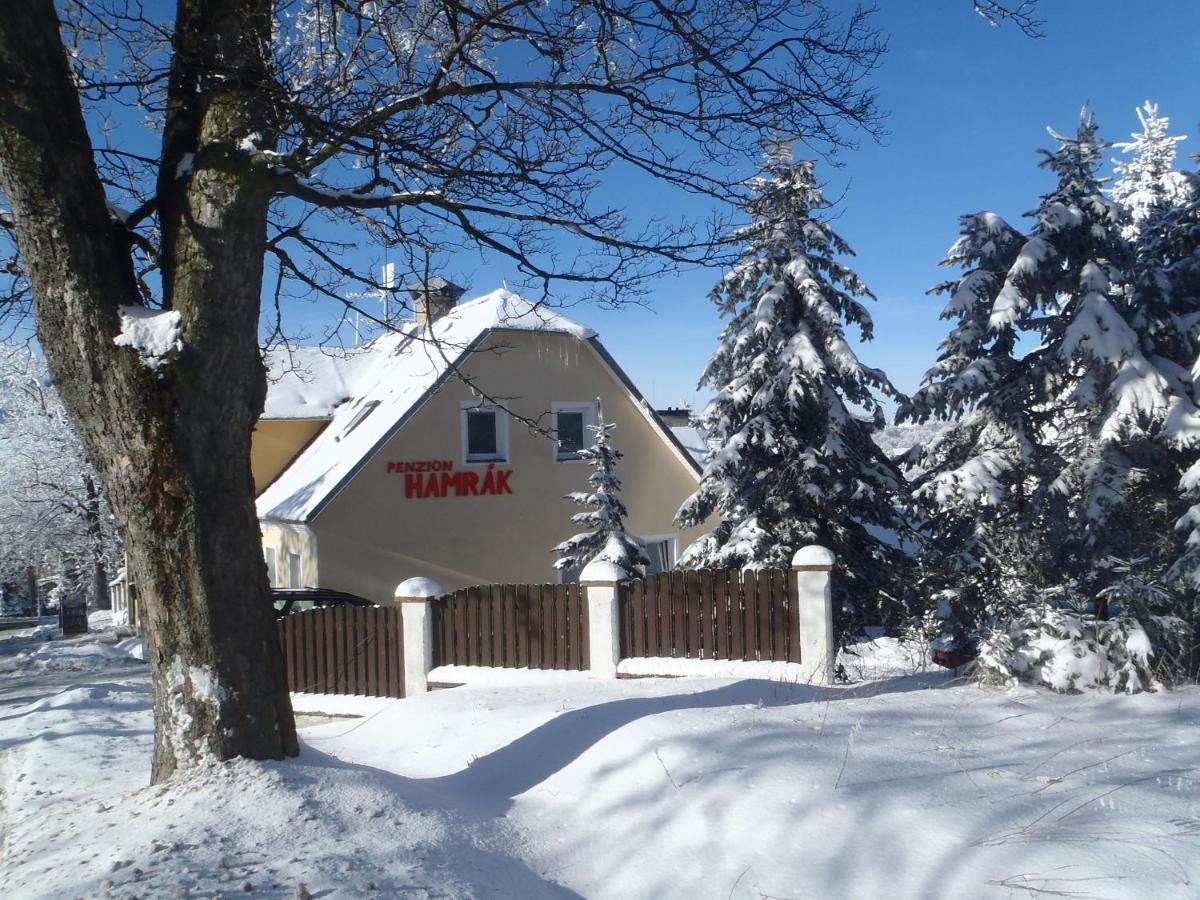 Penzion Hamrak Ceske Hamry Buitenkant foto